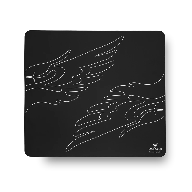 PEGASI Wing, view 1