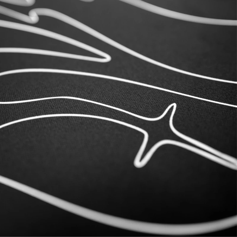 PEGASI Wing, view 3