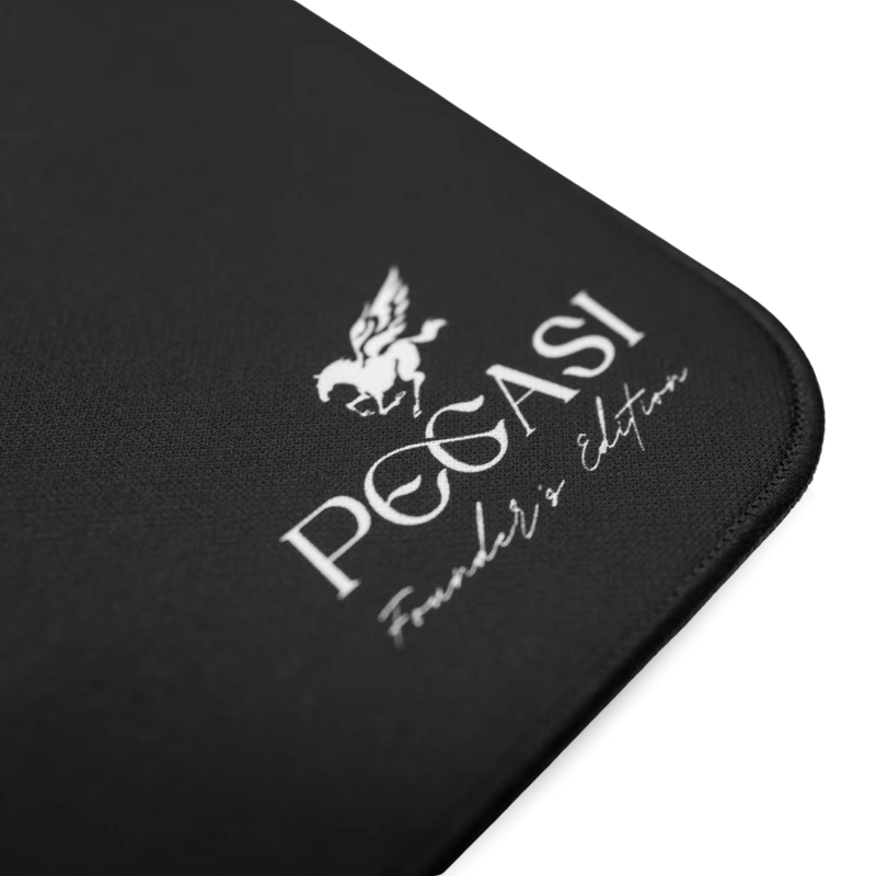 PEGASI Wing, view 4
