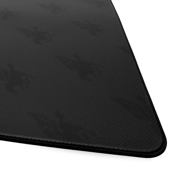 PEGASI Wing, view 6