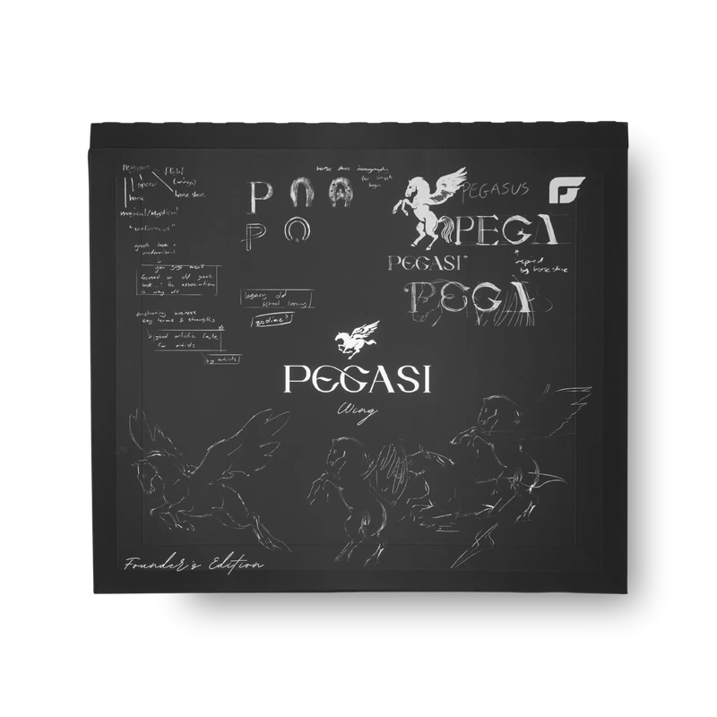 PEGASI Wing, view 7