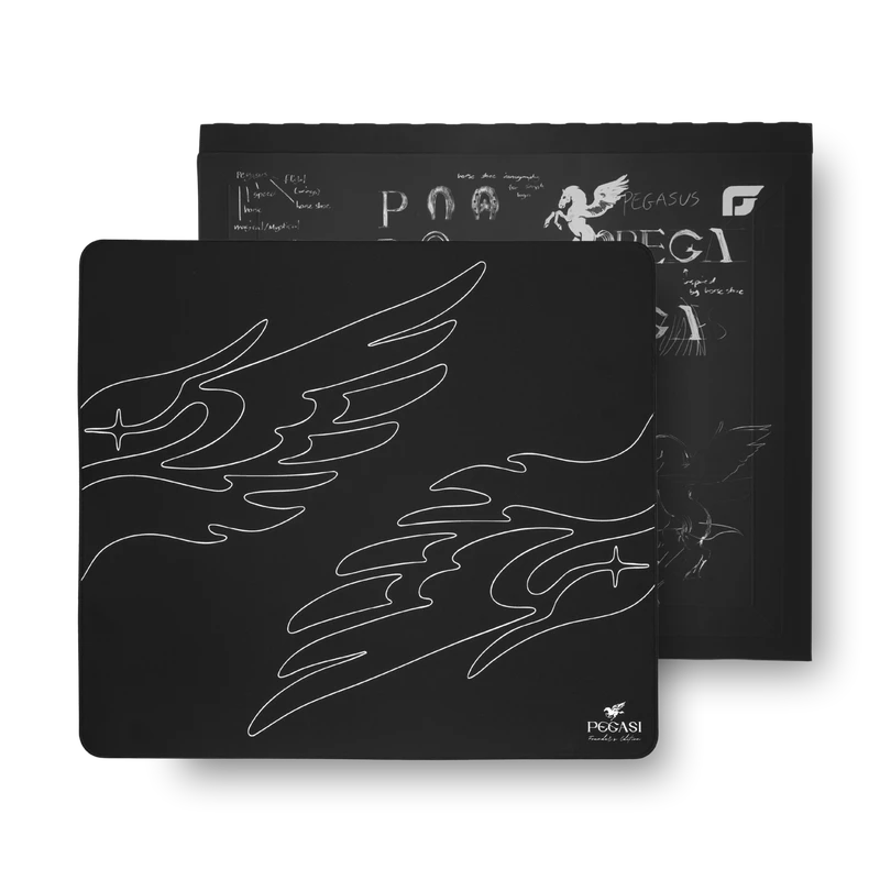 PEGASI Wing, view 9